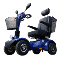 Trek Evolution 4 Scooter