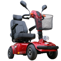 Trek Evolution Scooter