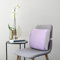 Back Cushion