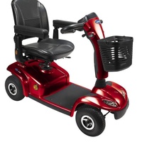 Invacare Leo