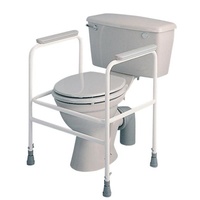 Toilet Surround 