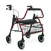 Heavy Duty Wide Walker Rollator (RG4216C)