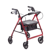 Territory Walker Blue