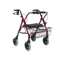 Heavy Duty Wide Walker (RG4205)