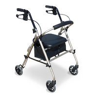 Adjustable Height Seat Walker (RG4209PS)